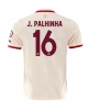 Bayern Munich Joao Palhinha #16 Tredje Tröja 2024-25 Kortärmad